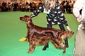 Crufts2011_2 100